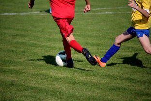 开云体育链接-世界青少年自行车赛中国骑手再创佳绩，2020全国青少年自行车锦标赛