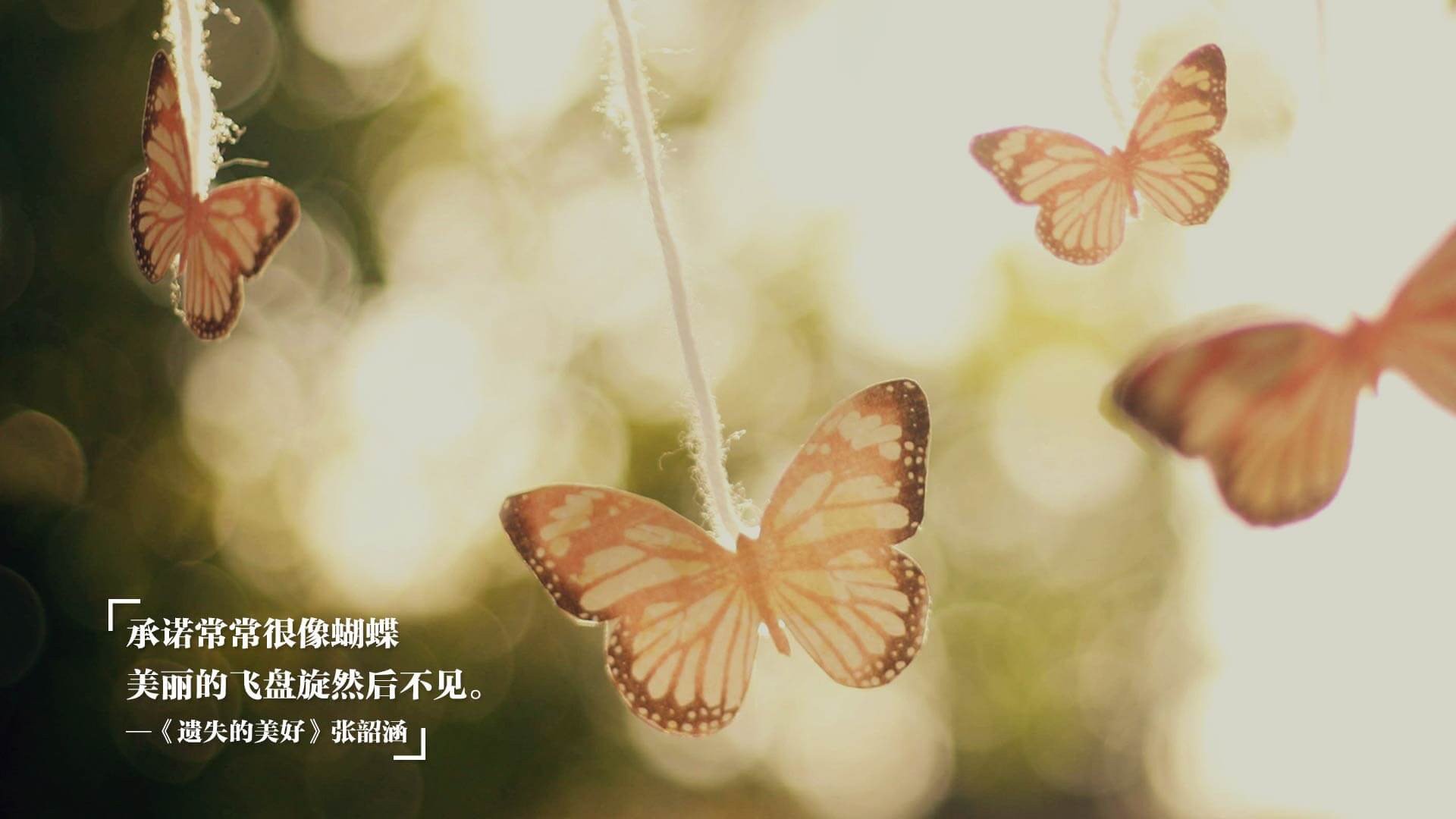 俱乐部人才培养：青训体系中的“秘密武器”