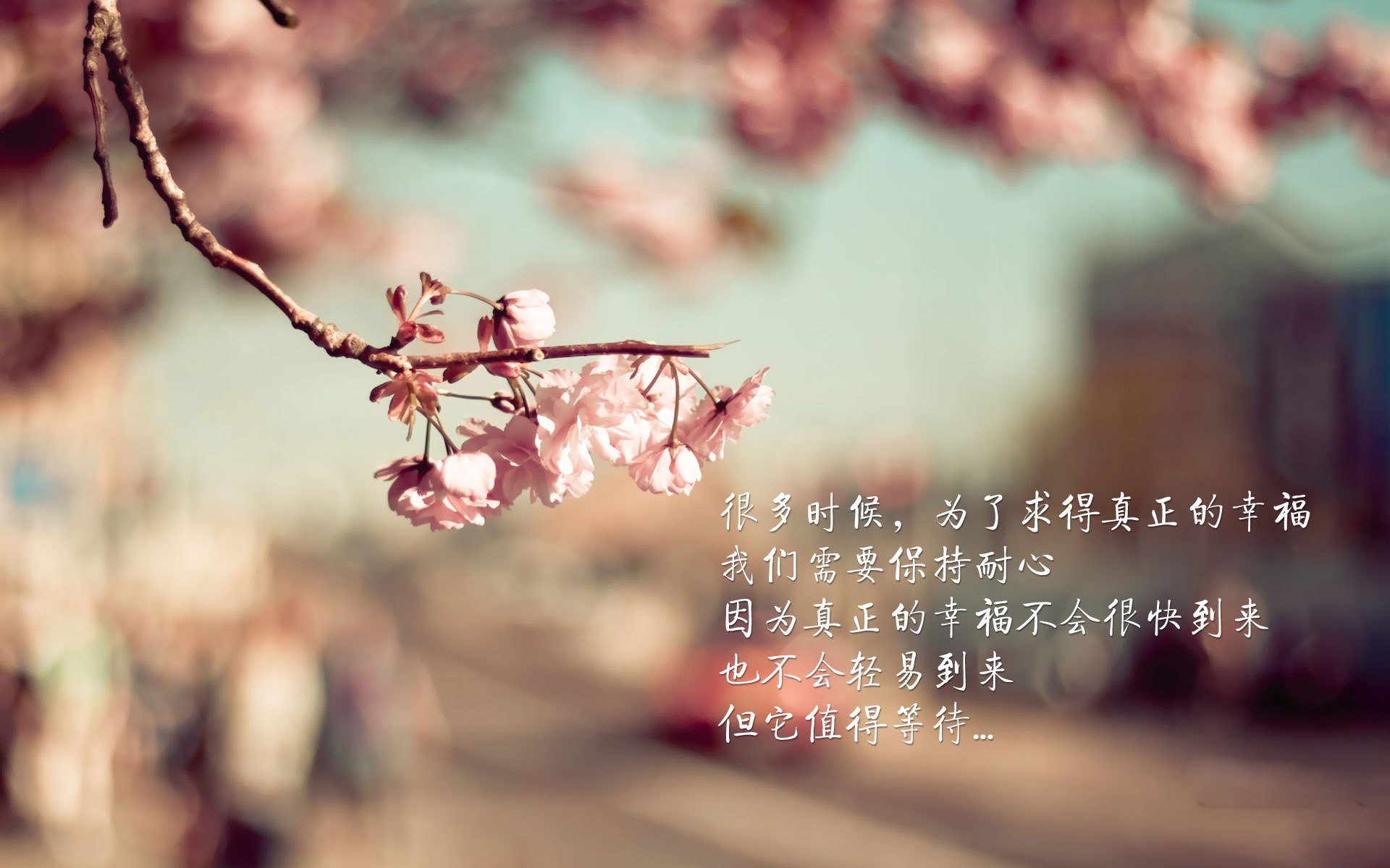 五大联赛主力核心复出后数据恢复速度研究,5大联赛数据