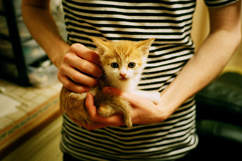 公牛小将突破能力明显提升展现潜力，公牛新品