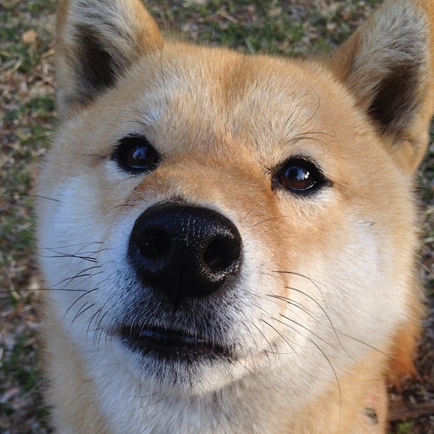 女子足球联赛赛程安排,2021女子足球联赛