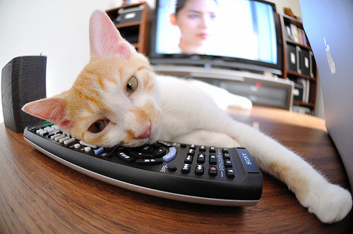 新闻中心公告体育产业孵化园企业入驻资格标准,体育产业示范基地