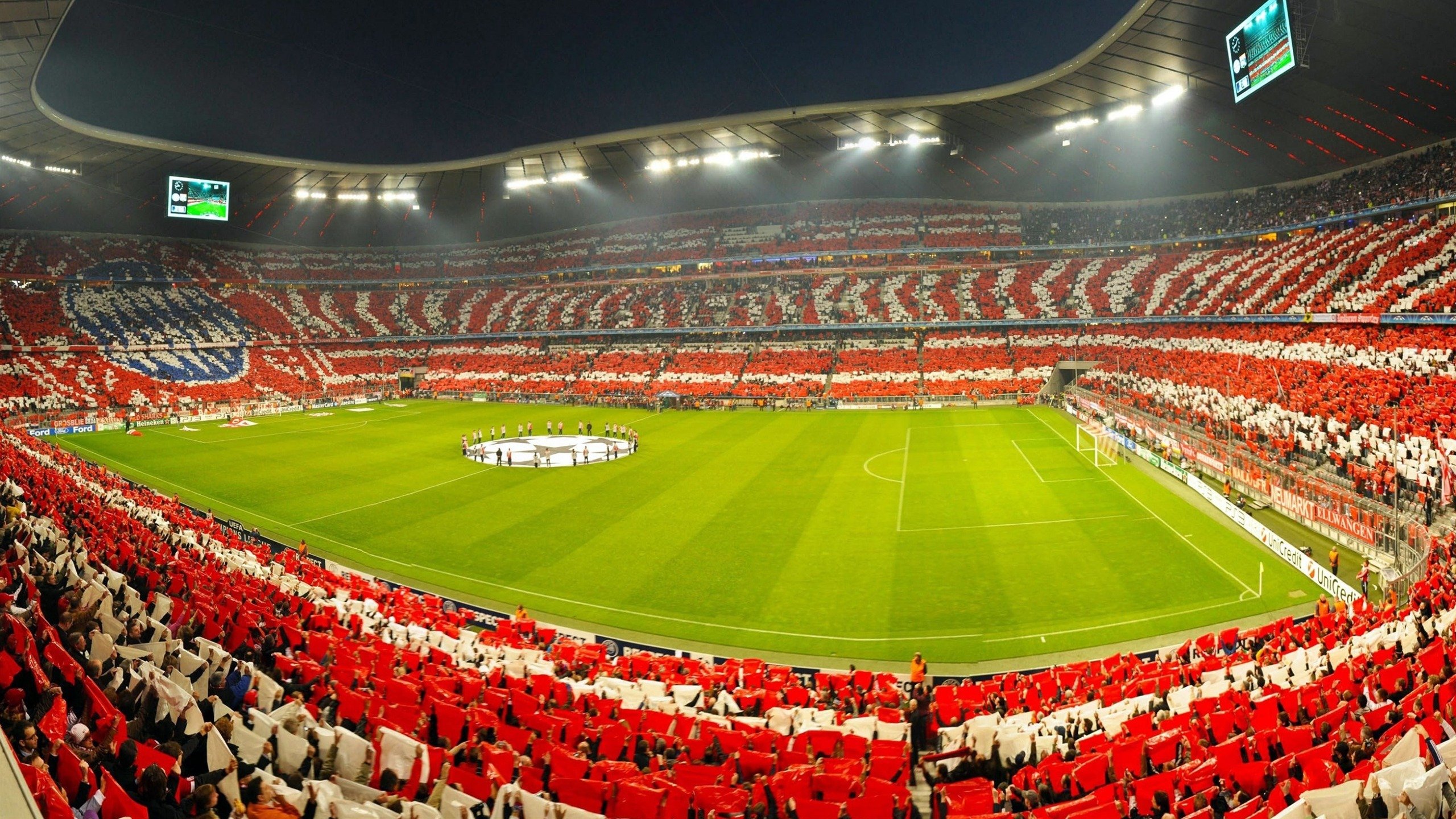 蝶泳节奏把控摩纳哥精准有力,最完整的蝶泳分解教程