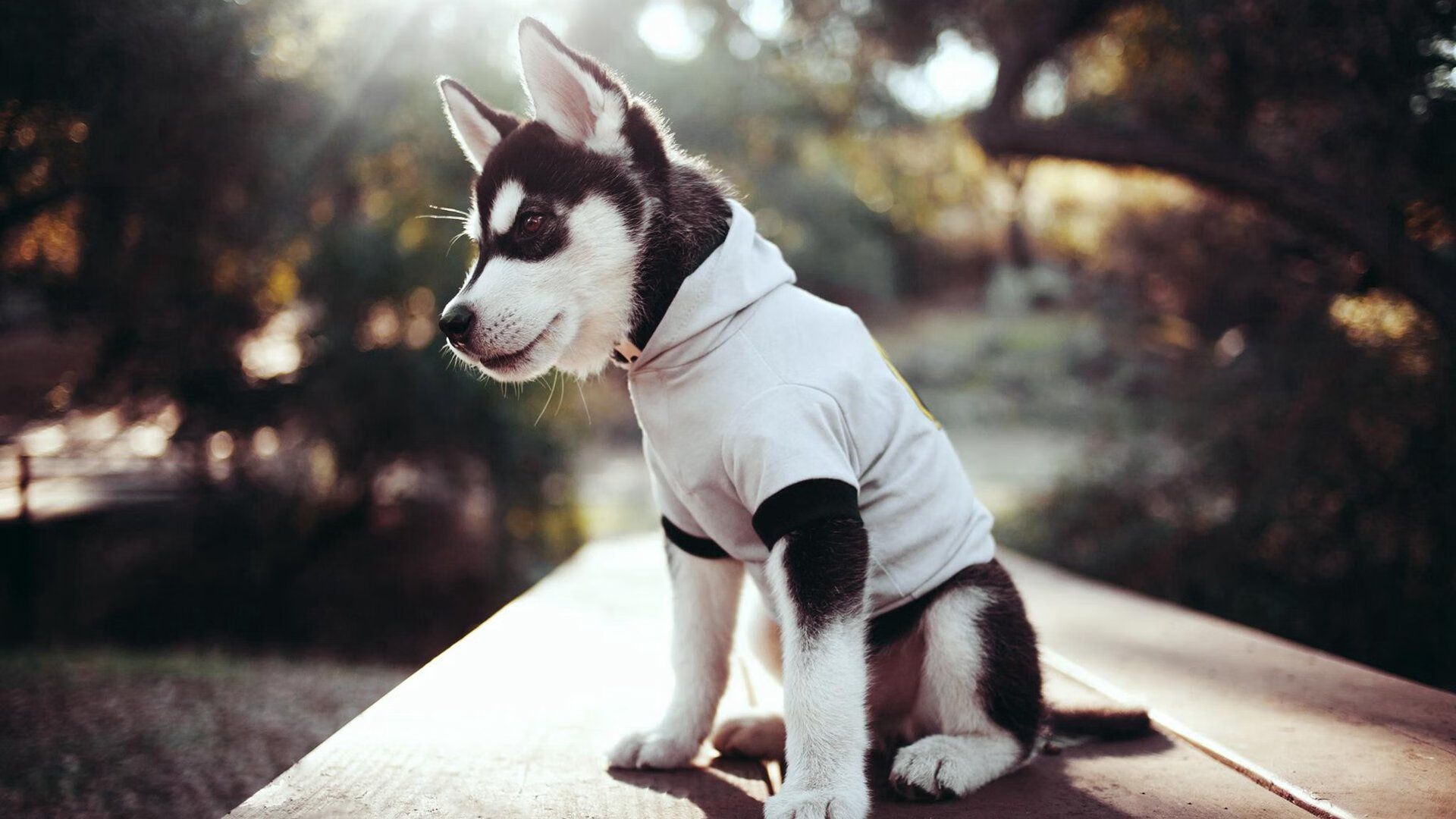 开云体育官网下载-ATFX 分析：通胀不激进，美指空头格局延续，美国通胀 a股